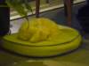 NWK 2012 055_small.jpg